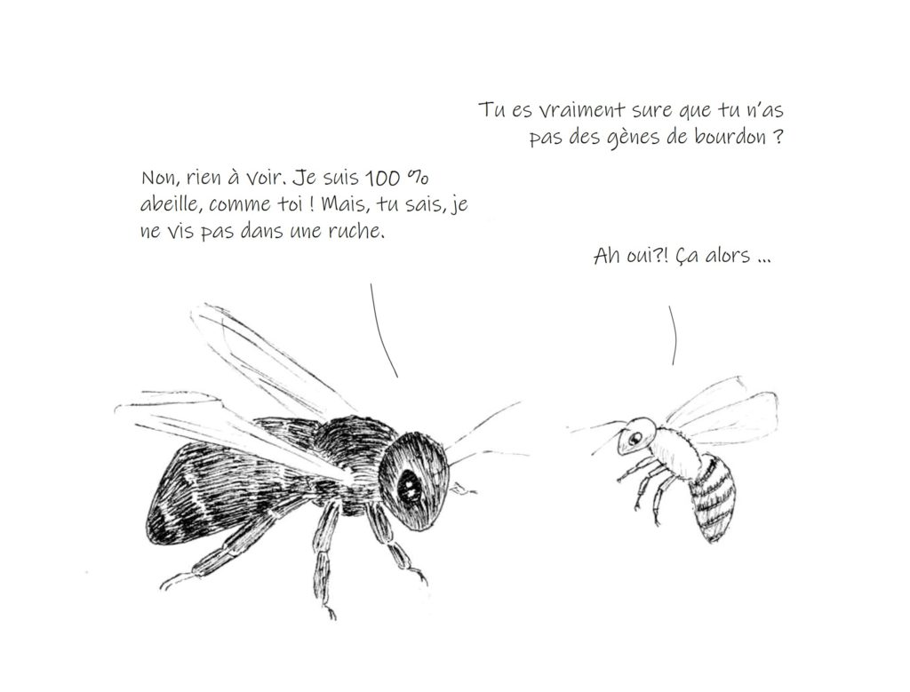 Illustration _dialogue_Abeilles