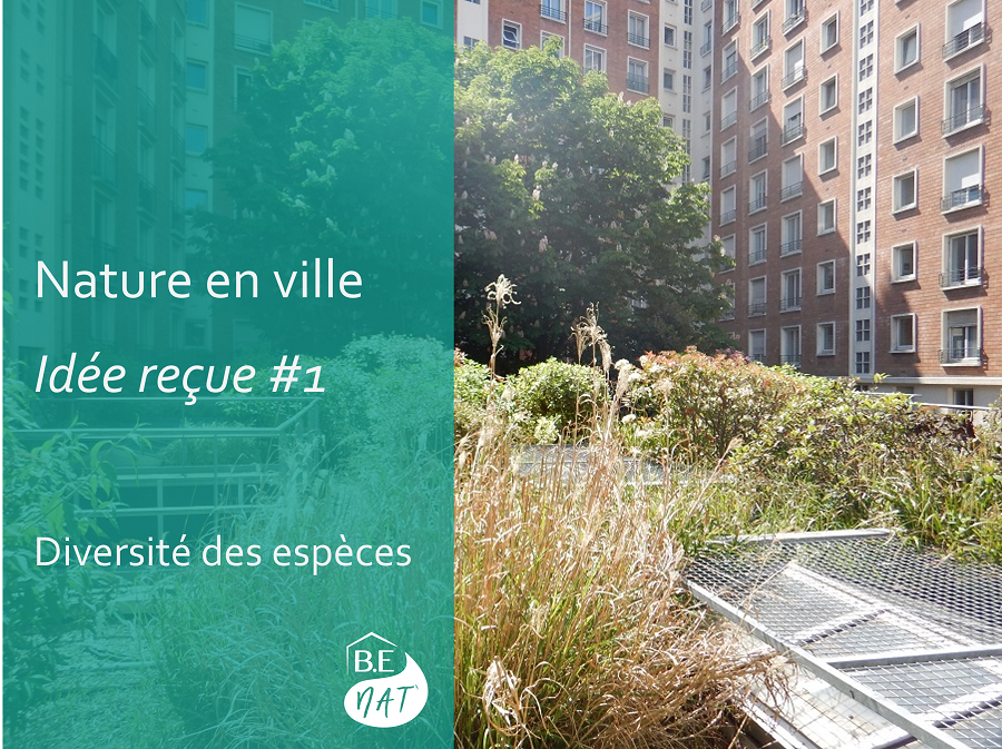 Nature-en_ville_idee_reçue