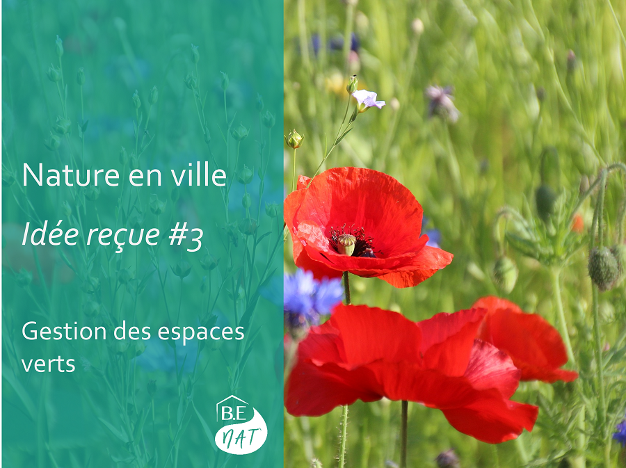 Nature_en_ville_gestion_espaces_verts