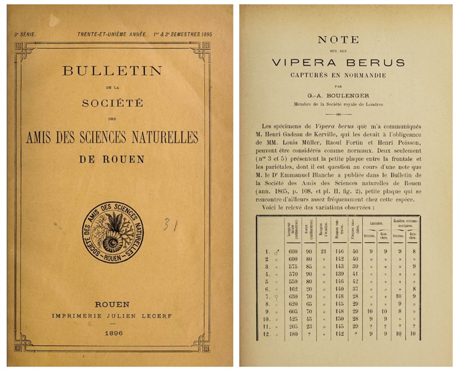 Bulletin de la Société des amis des sciences naturelles de Rouen_1895