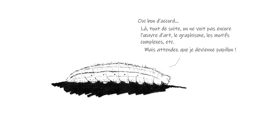 croquis chenille demi deuil