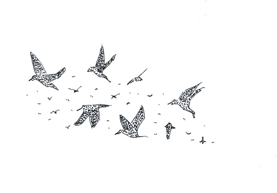 Illustration Etourneaux